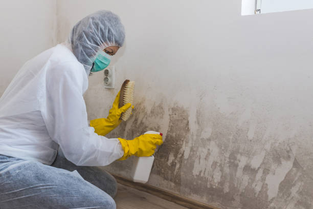 Best Industrial Mold Remediation in Perryopolis, PA