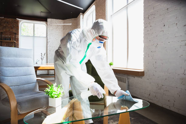 Why You Should Choose Our Mold Remediation Services in Perryopolis, PA