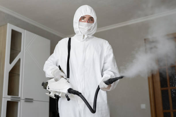 Best Asbestos and Lead Testing During Mold Inspection in Perryopolis, PA